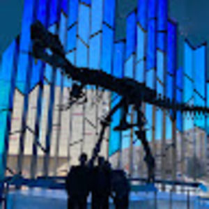 Meet your Posher, Roan